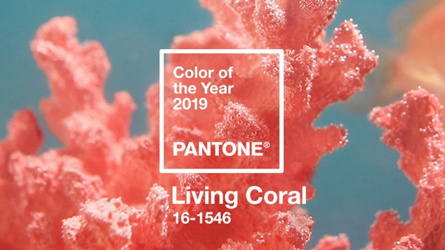 PMS Announces Its 2019 Color of the Year